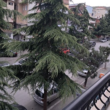 New Apartament Pogradec Buitenkant foto