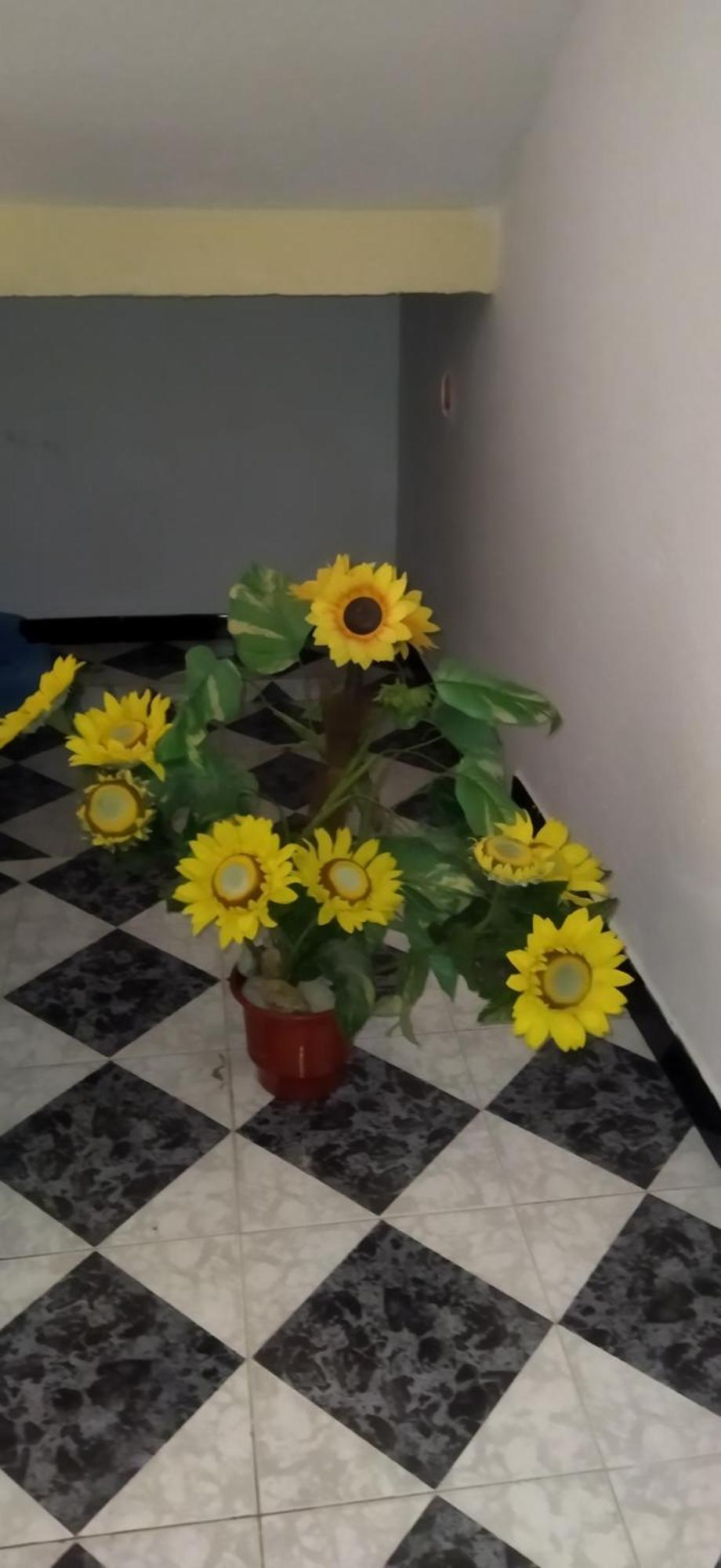 New Apartament Pogradec Buitenkant foto
