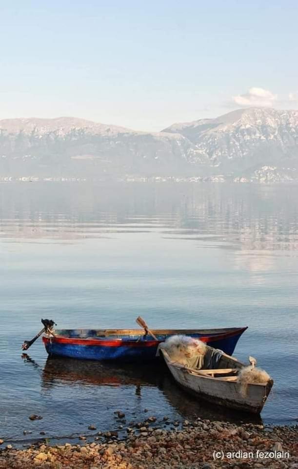 New Apartament Pogradec Buitenkant foto