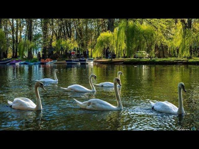 New Apartament Pogradec Buitenkant foto