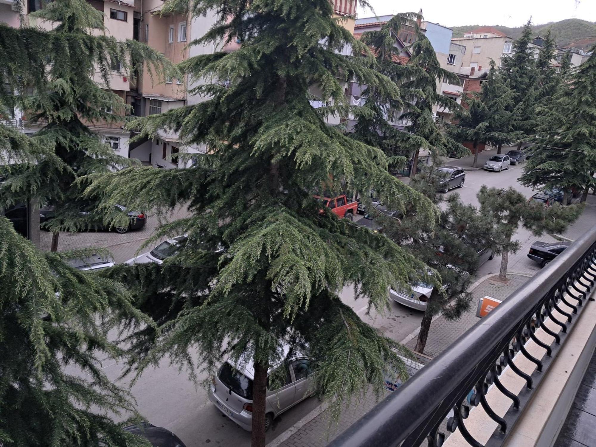 New Apartament Pogradec Buitenkant foto